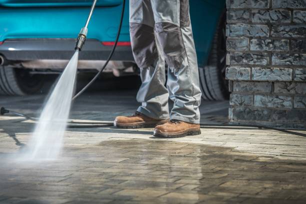 Best Building Exterior Washing  in Spring Valley, WI