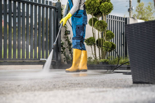 Best Rust Removal  in Spring Valley, WI